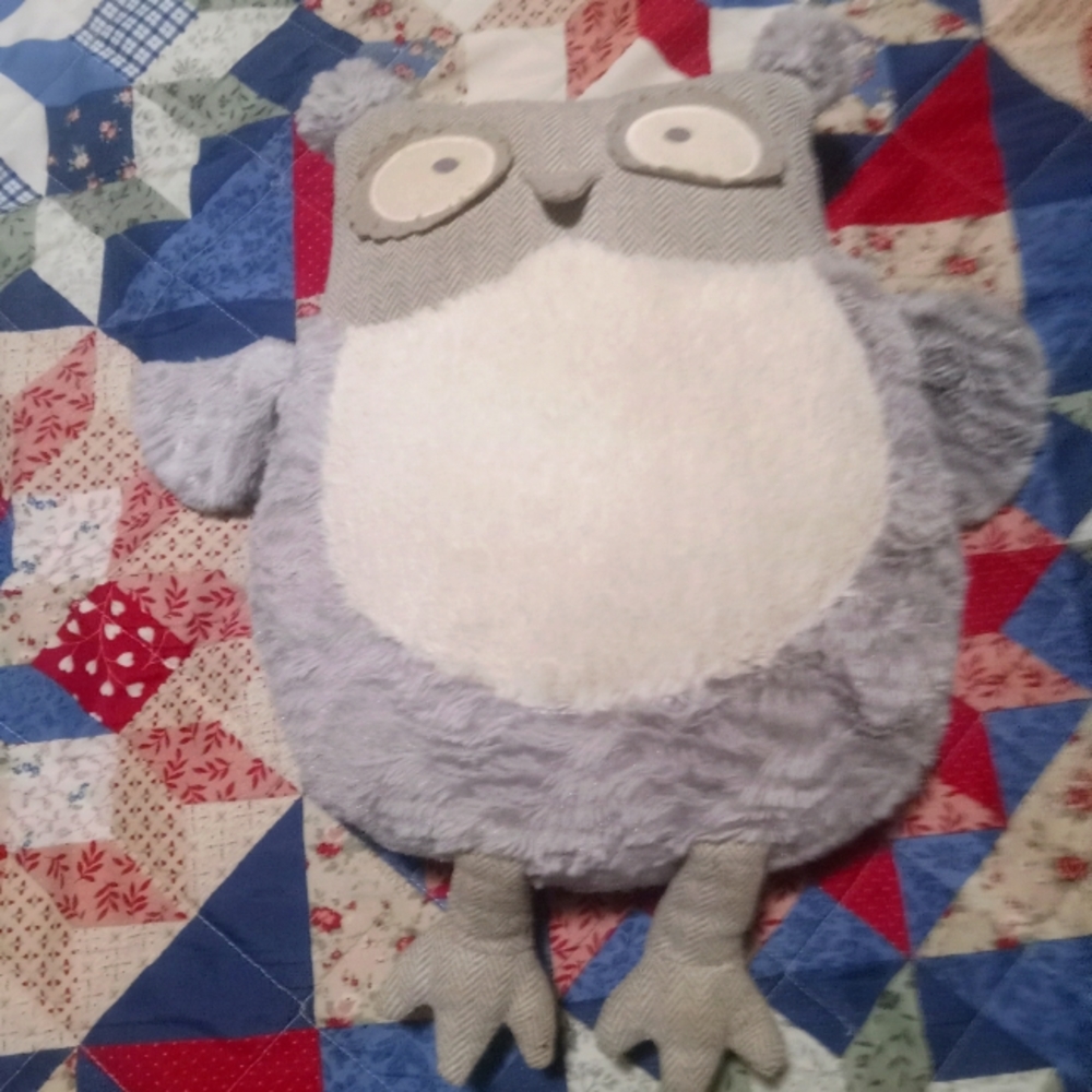 COPY - Pier One Decorative Owl for kids room